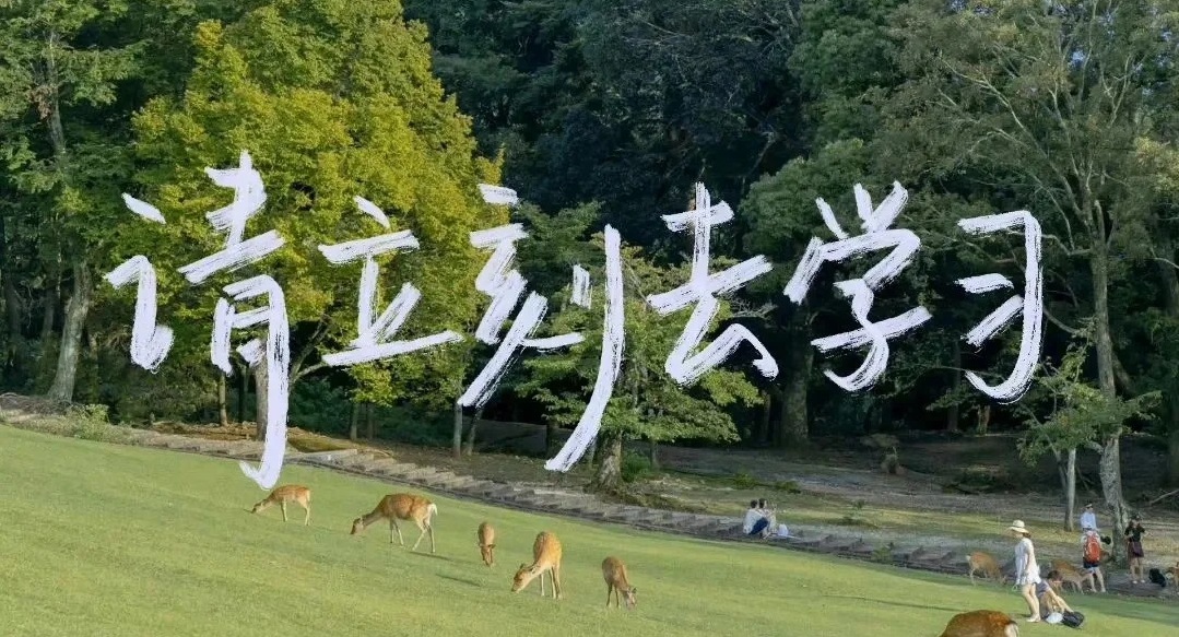 三不限战士成功上岸！